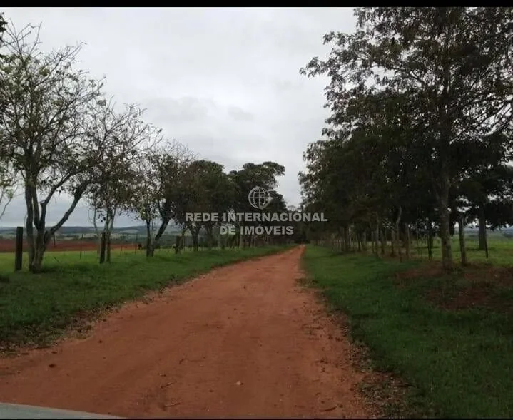 Itapetininga, State of São Paulo, Brazil. - Photo 5