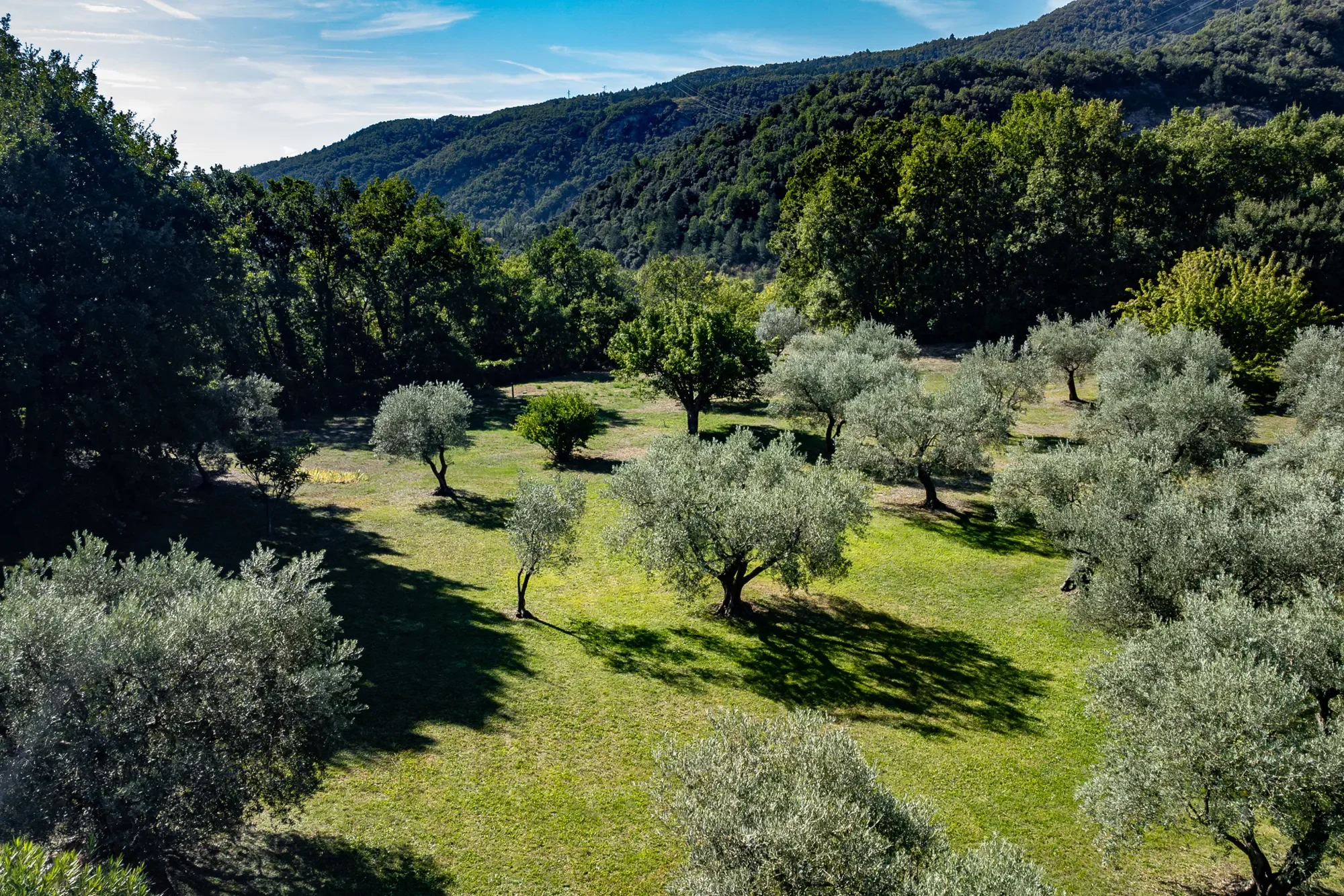Sisteron, Provence-Alpes-Côte d'Azur, France. - Photo 6