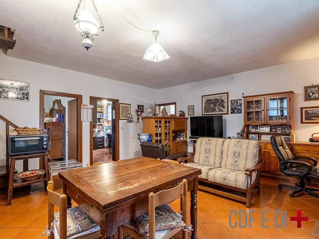Gallery photo 6