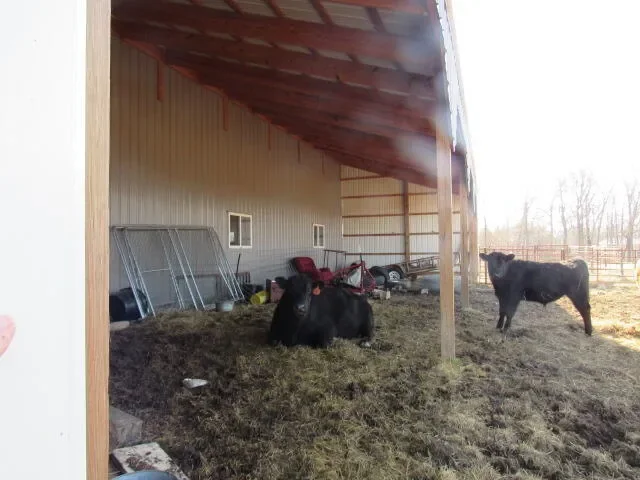 2799 Sparks Road, Norwood, MO 65717, Norwood, Missouri, United States. - Photo 37