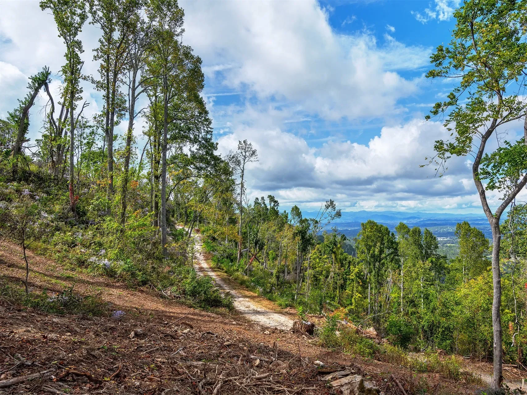 566 Elk Mountain Scenic, Asheville, NC, 28804, USA, Weaverville, North Carolina, United States. - Photo 7