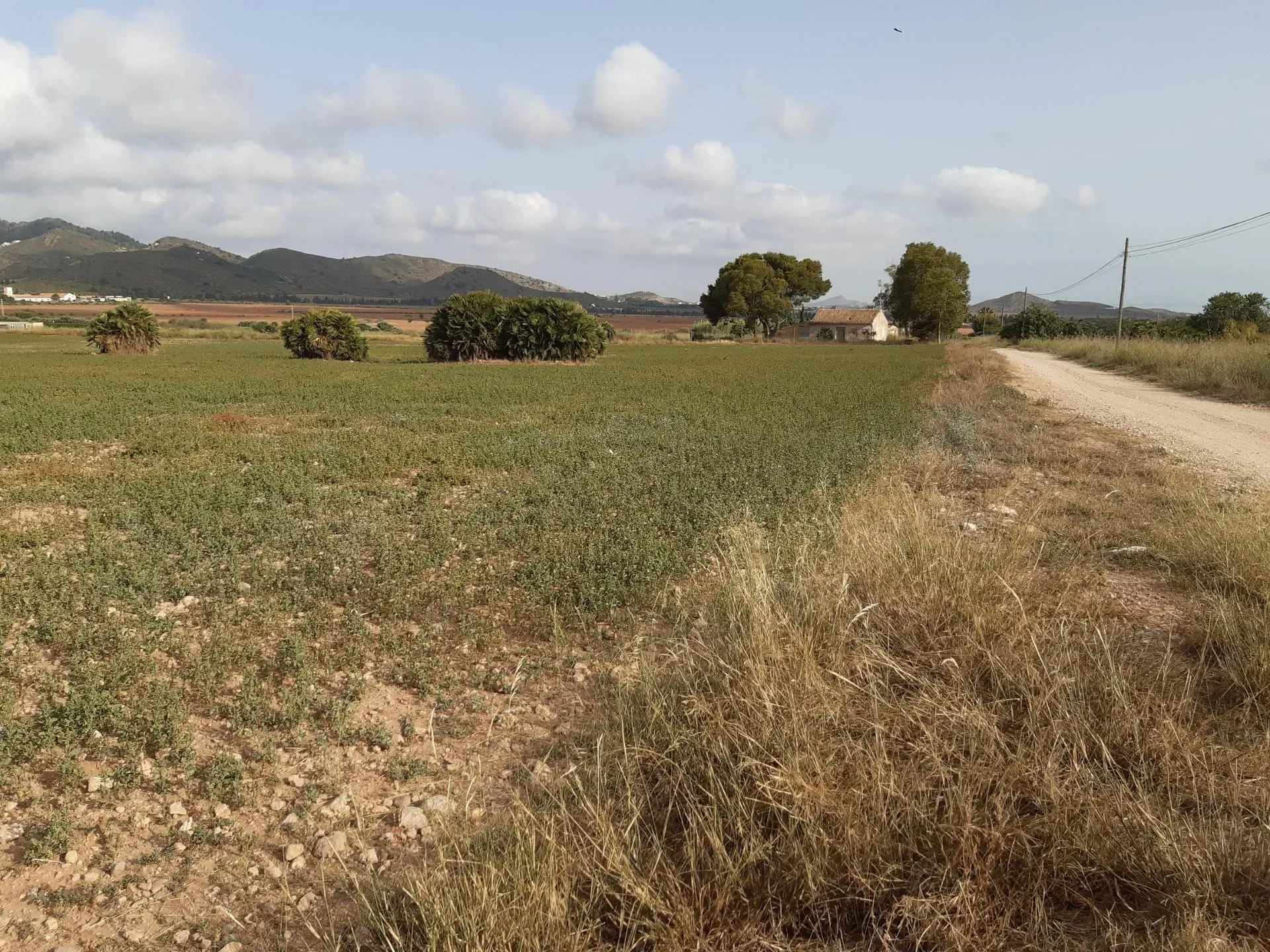 Los Belones, Cartagena, MURCIA, Cartagena, Rincon de San Gines, Cartagena, Spain. - Photo 10