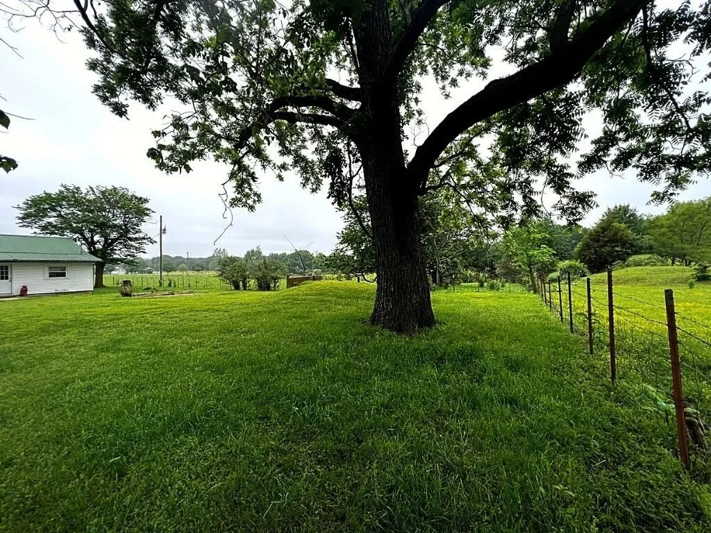 Gallery photo 10