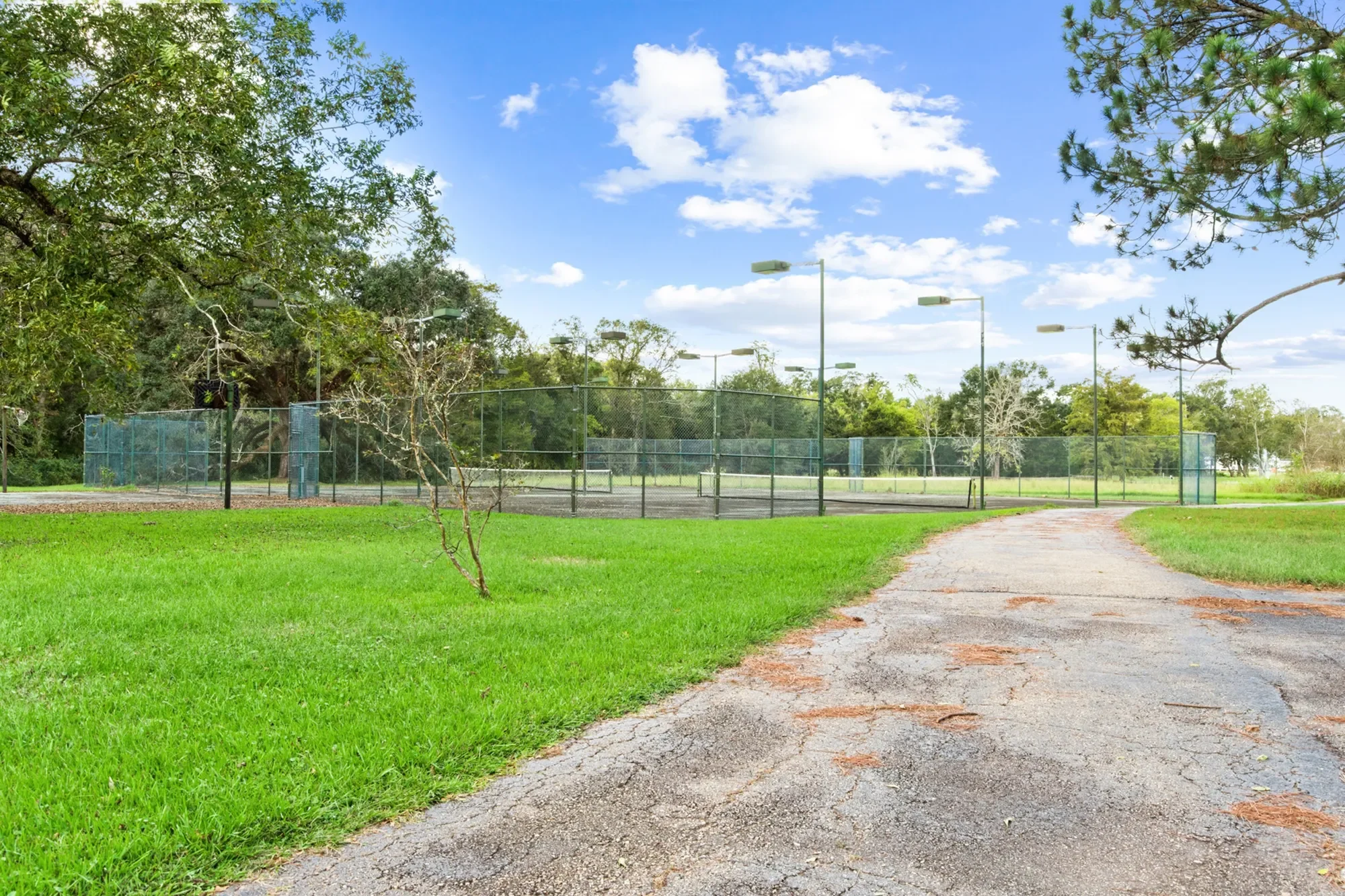 616 Dejean, Hwy 103 , Washington, LA 70589, Washington, Louisiana, United States. - Photo 5