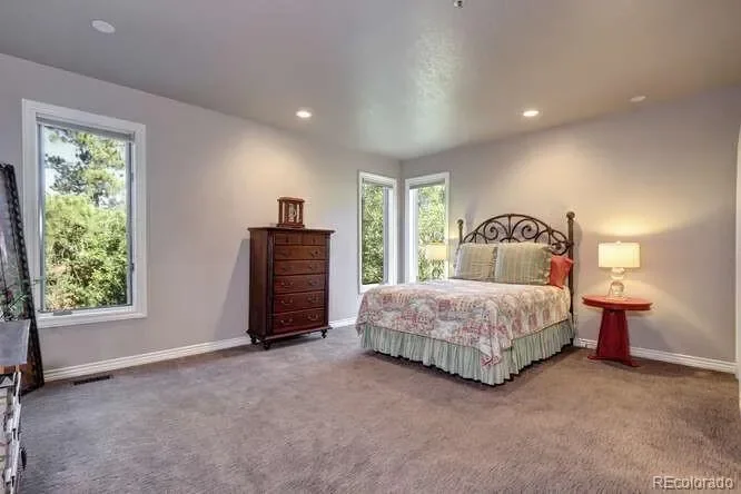 388 Titan Place, Castle Rock, Colorado, United States. - Photo 29