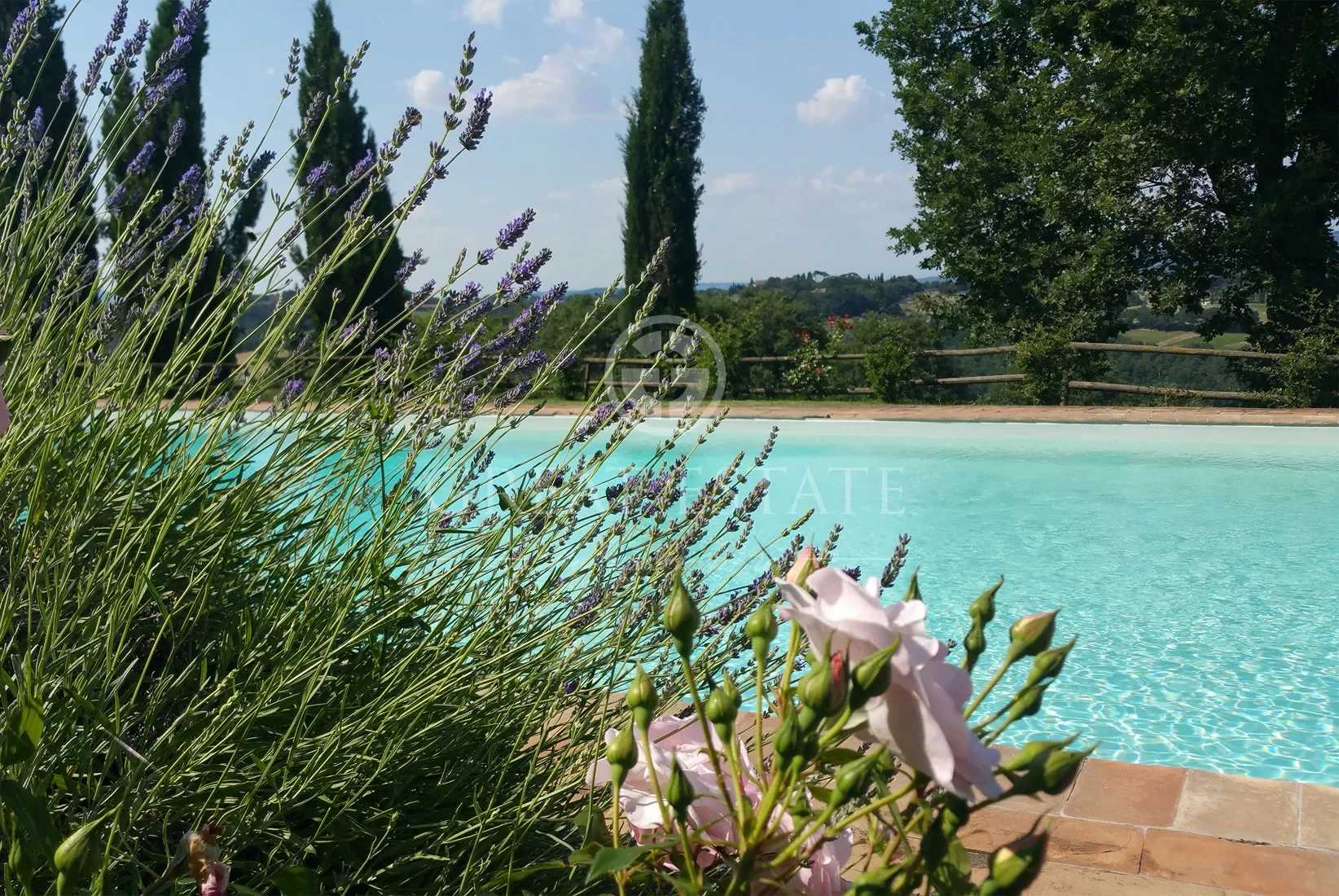 Umbria, Umbria, Italy. - Photo 16