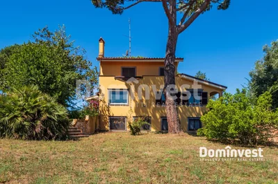 Thumbnail 17