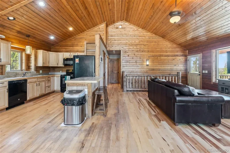 889 Venture Road, Fairplay, CO 80440, Fairplay, Colorado, United States. - Photo 17