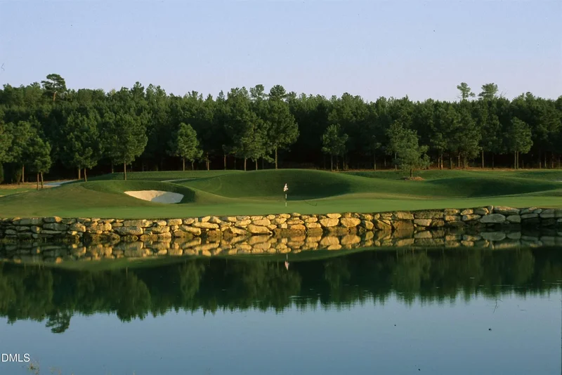 916 Shasta Daisy Drive, Wake Forest, North Carolina, United States. - Photo 54