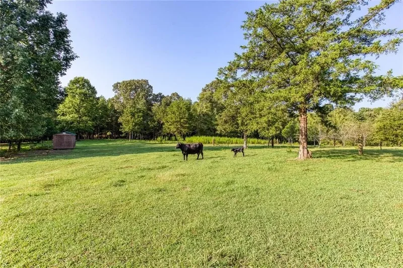 195 Connesena Road, Kingston, GA 30145, Euharlee, Georgia, United States. - Photo 25