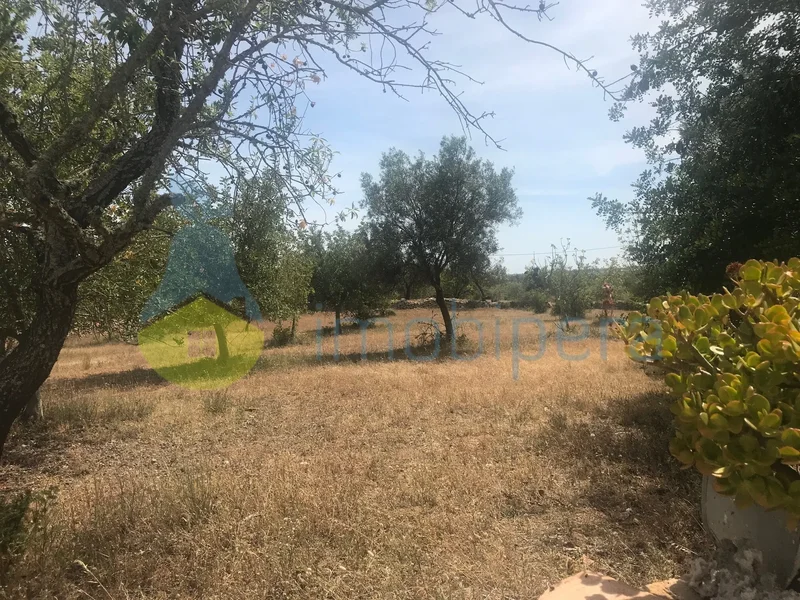 VILLA T4/SMALL FARM IN THE ALGARVE WITH 4.7ha OF LAND WITH CAROB TREES
