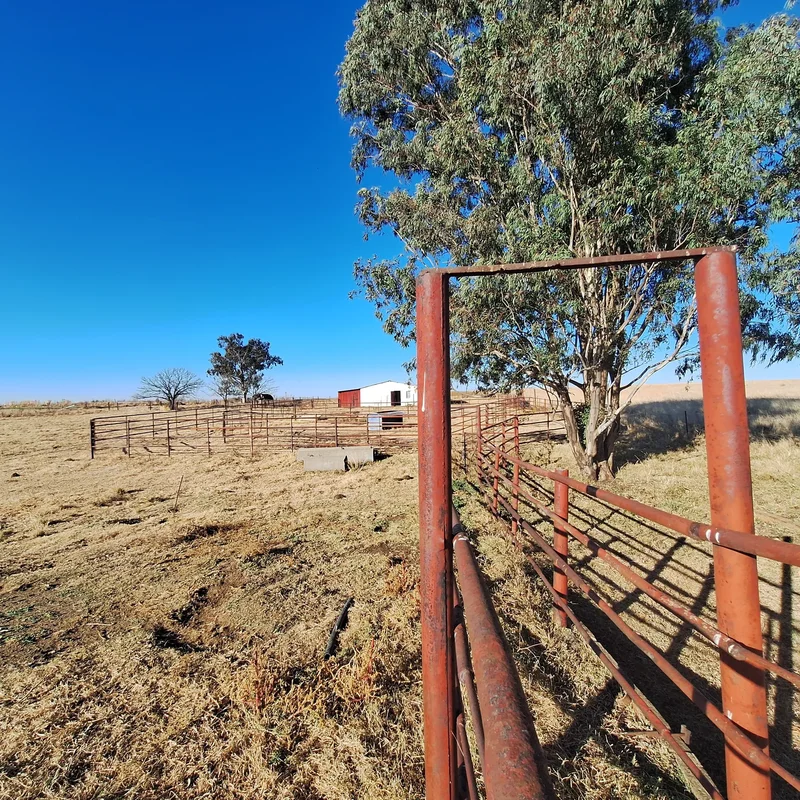 Frankfort, Free State, South Africa. - Photo 18