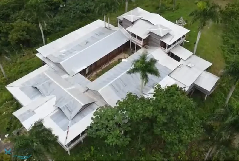 Solar Caimito