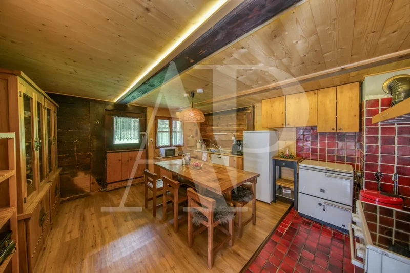 FOR SALE 5.5 ROOM APARTMENT IN AN AUTHENTIC CHALET