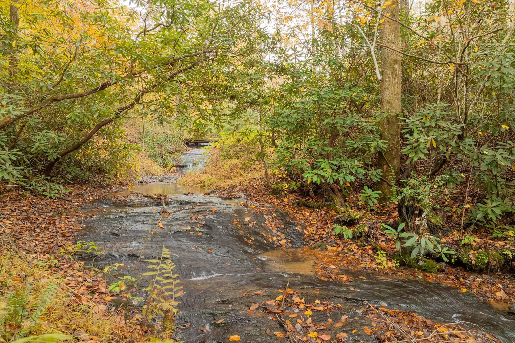 85 Brown Lane, Marble, NC 28905, Marble, North Carolina, United States. - Photo 15