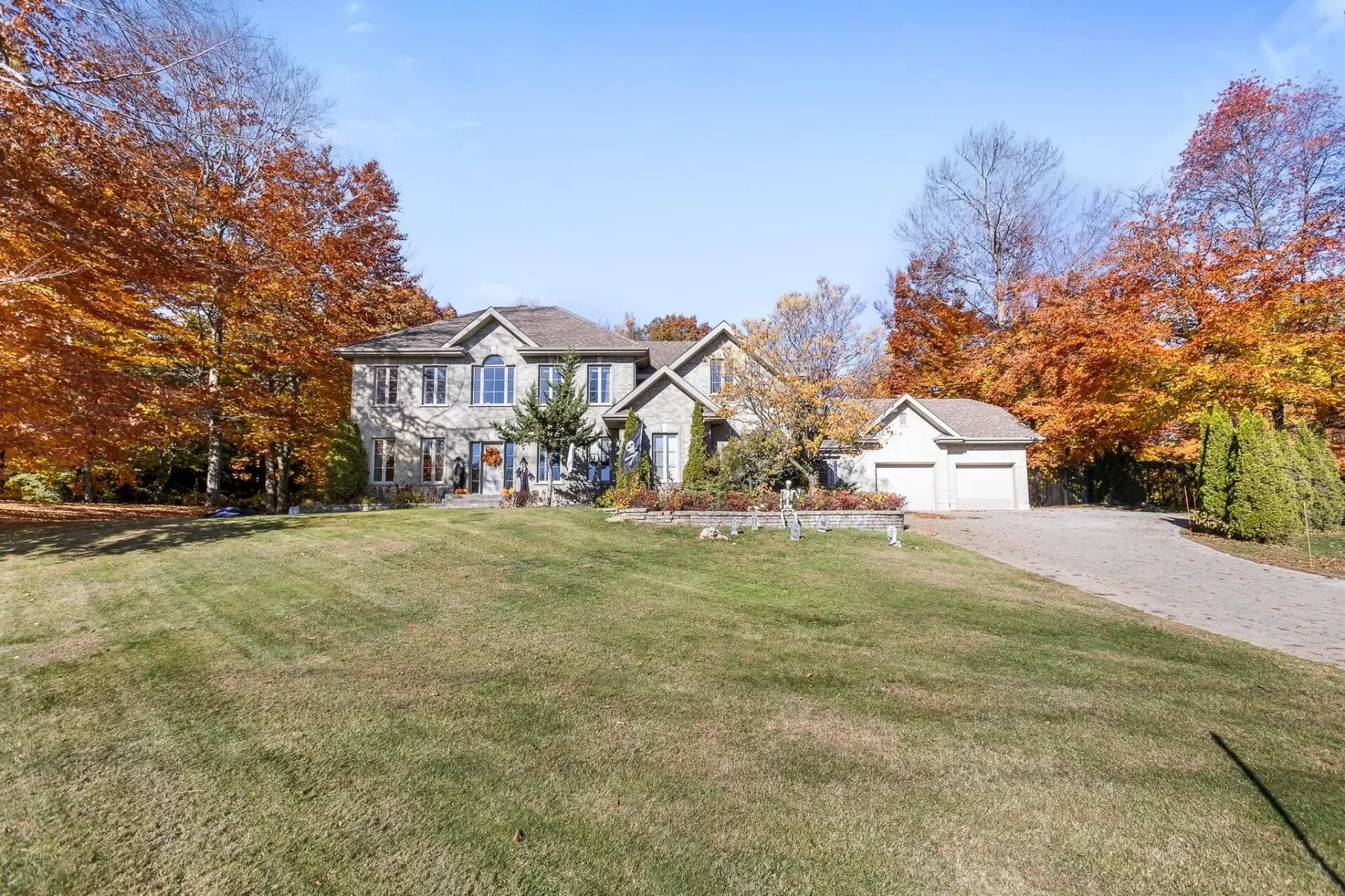 Gallery photo 7