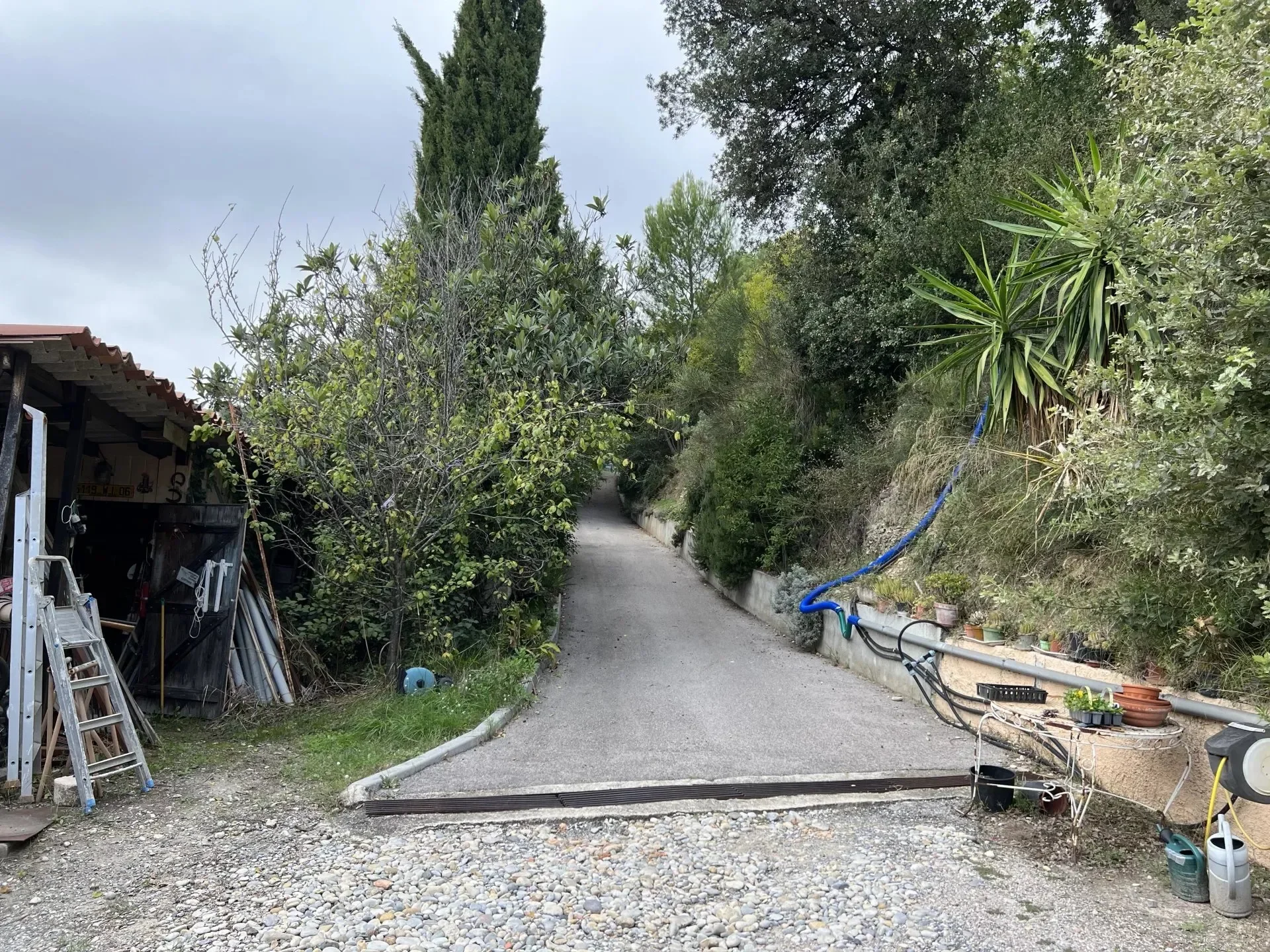 Nice, Provence-Alpes-Côte d'Azur, France. - Photo 12