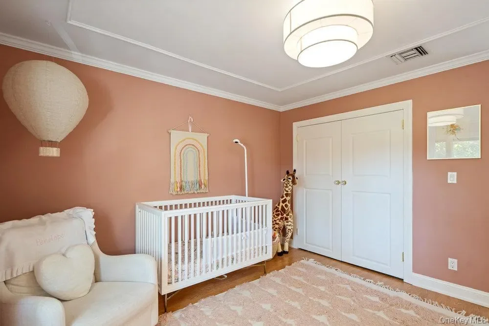 116 Sperry Blvd Boulevard, New Hyde Park, New York, United States. - Photo 20