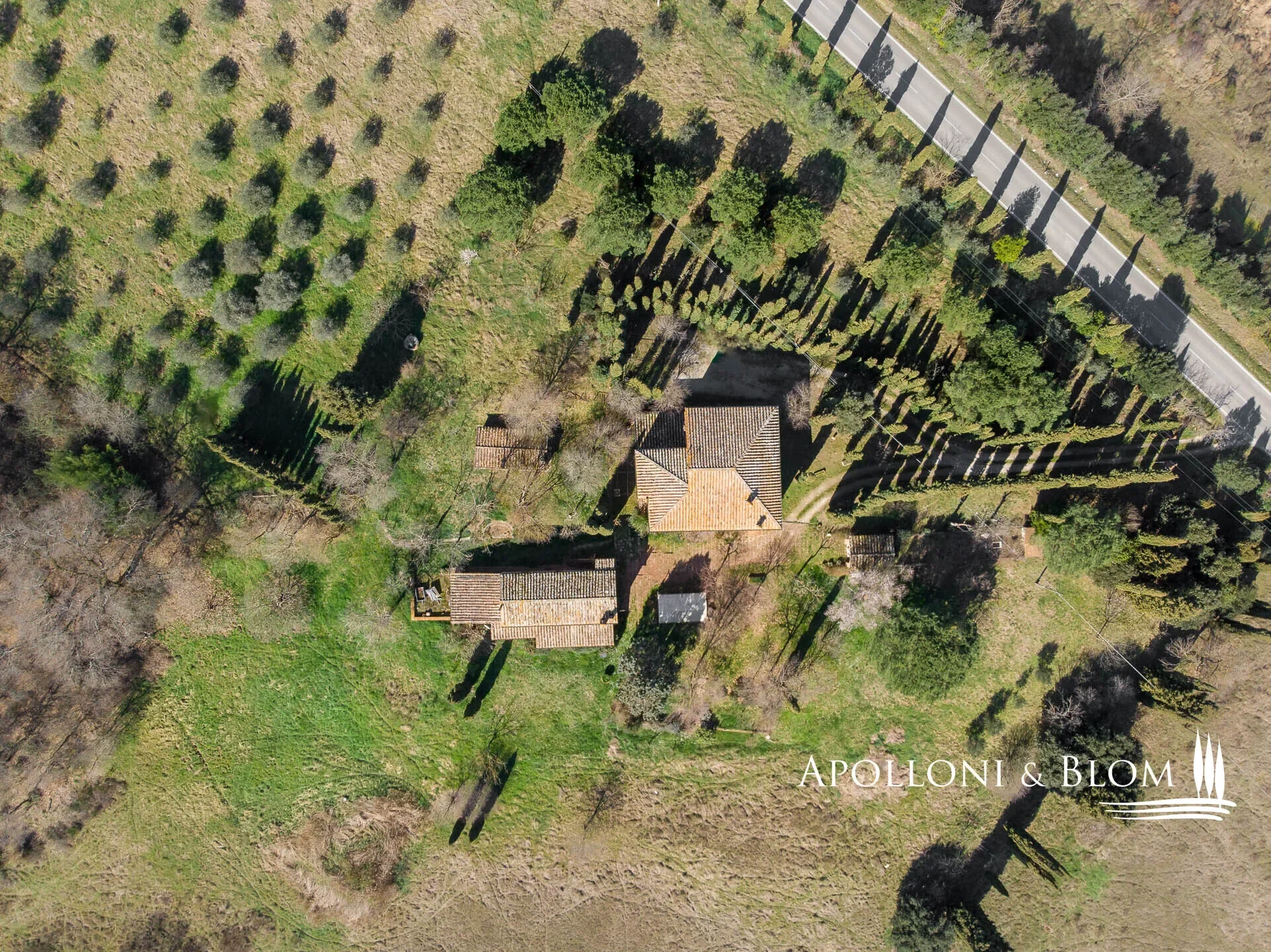 Strada Provinciale 14, Poggi Gialli, Tuscany, Italy. - Photo 39
