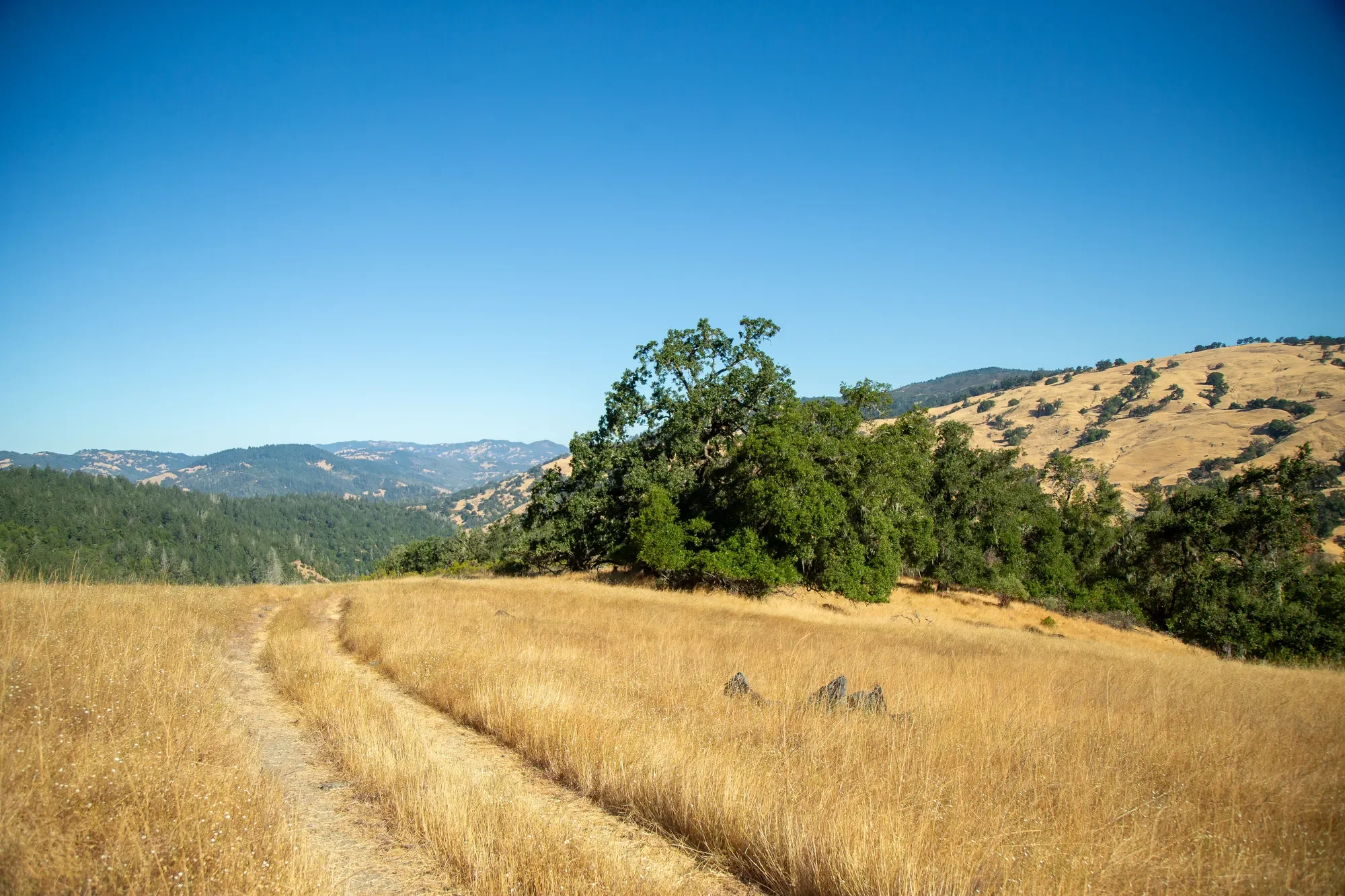 29810 River Road , Cloverdale, CA 95425, Cloverdale, California, United States. - Photo 9