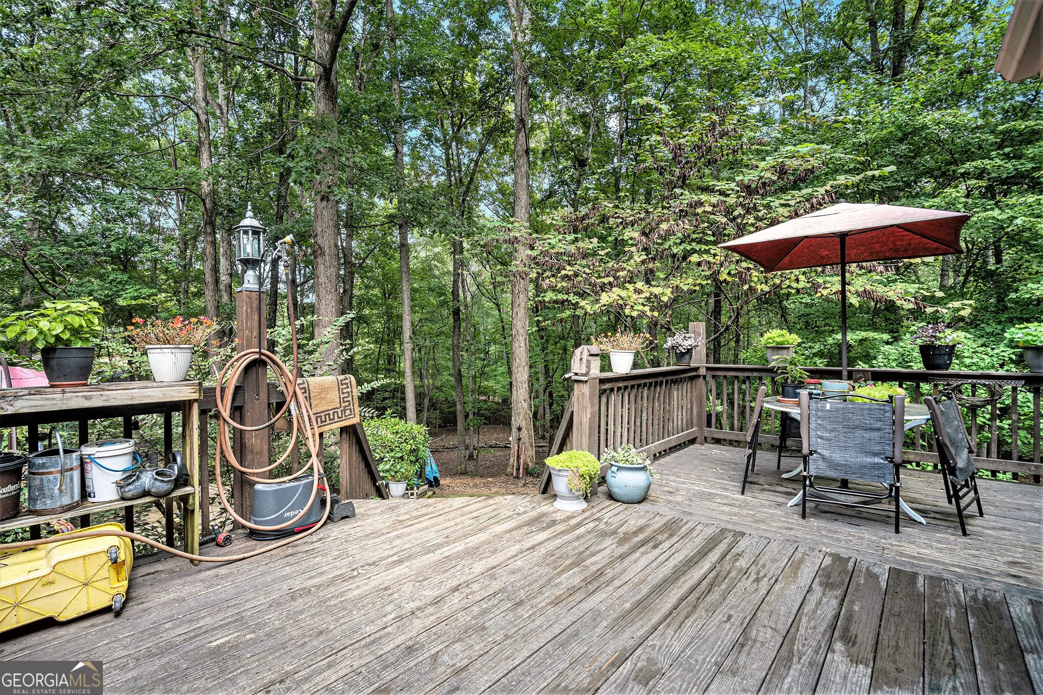 Aragon, Georgia, United States. - Photo 17