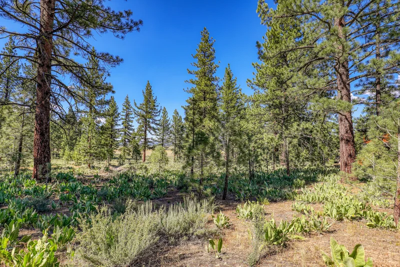 7445 Lahontan Drive , Truckee, CA 96161, Truckee, California, United States. - Photo 20