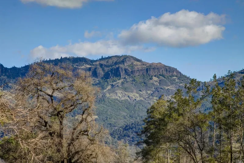 1171 Tubbs Lane, Calistoga, CA 94515, Calistoga, California, United States. - Photo 37