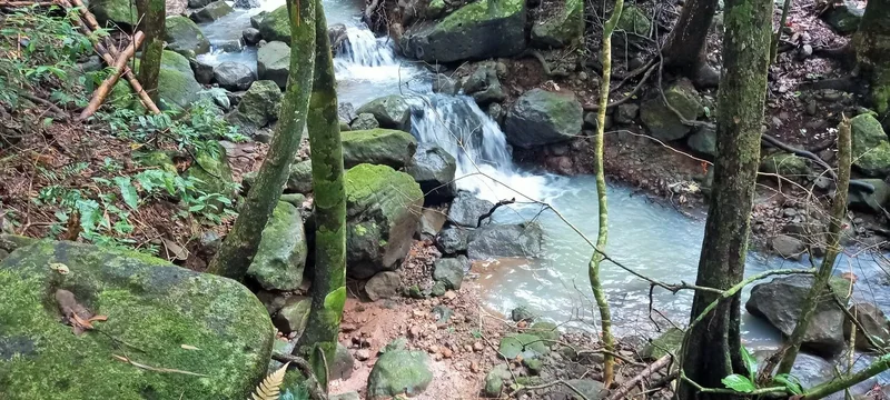 Sorá, Coclé Province, Panama. - Photo 13