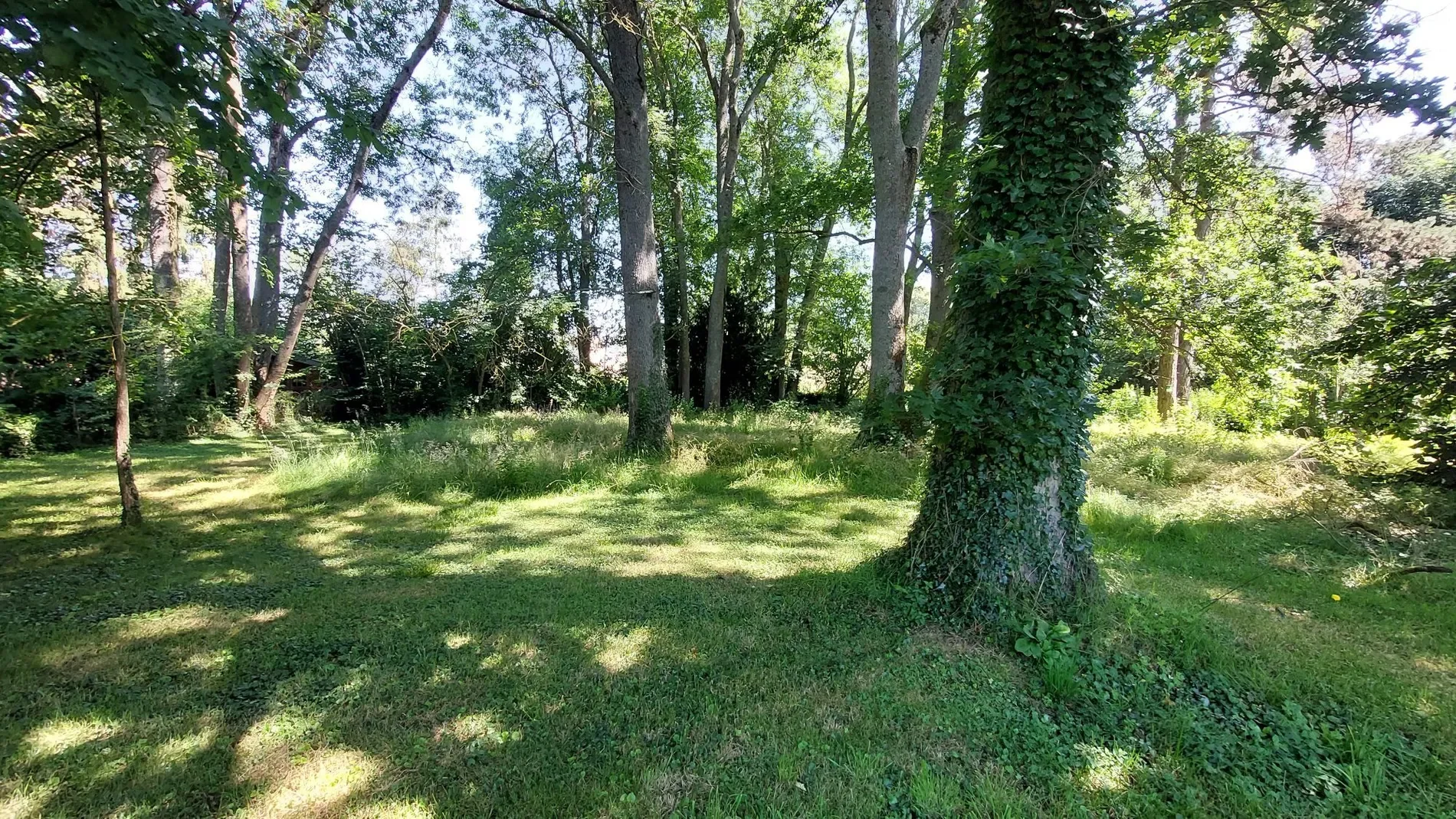 Property photo 8
