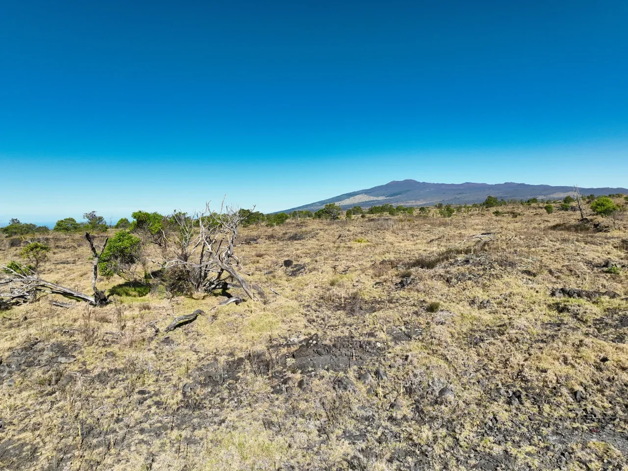 15-B #Hokukano Lot 15B, Kealakekua, HI 96725, Captain Cook, Hawaii, United States. - Photo 13