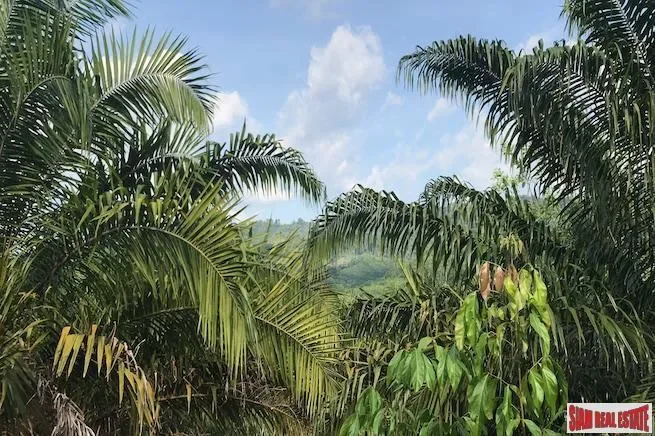 Phang Nga,, Tham, Phang-nga, Thailand. - Photo 4