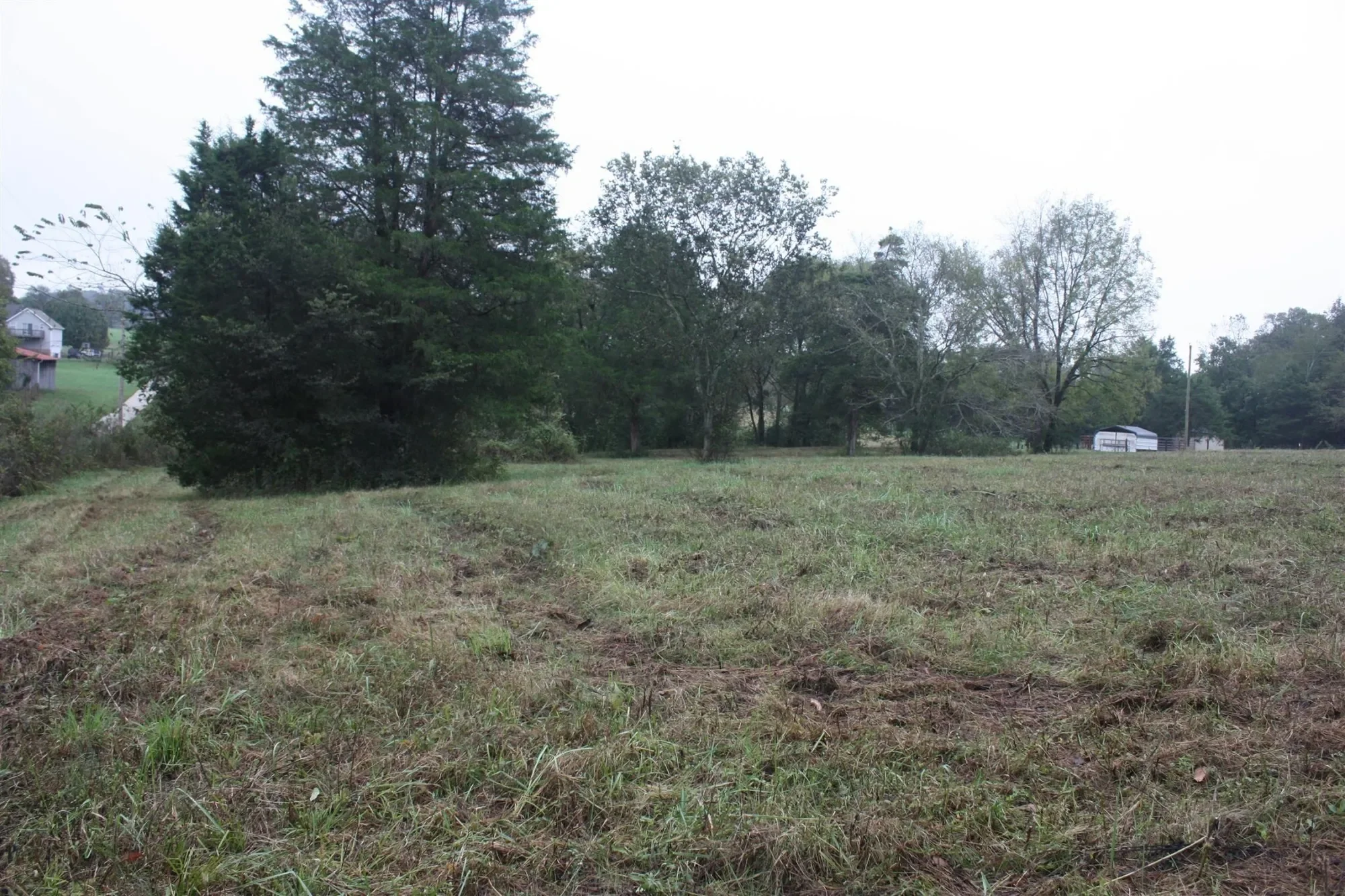 Gallery photo 11