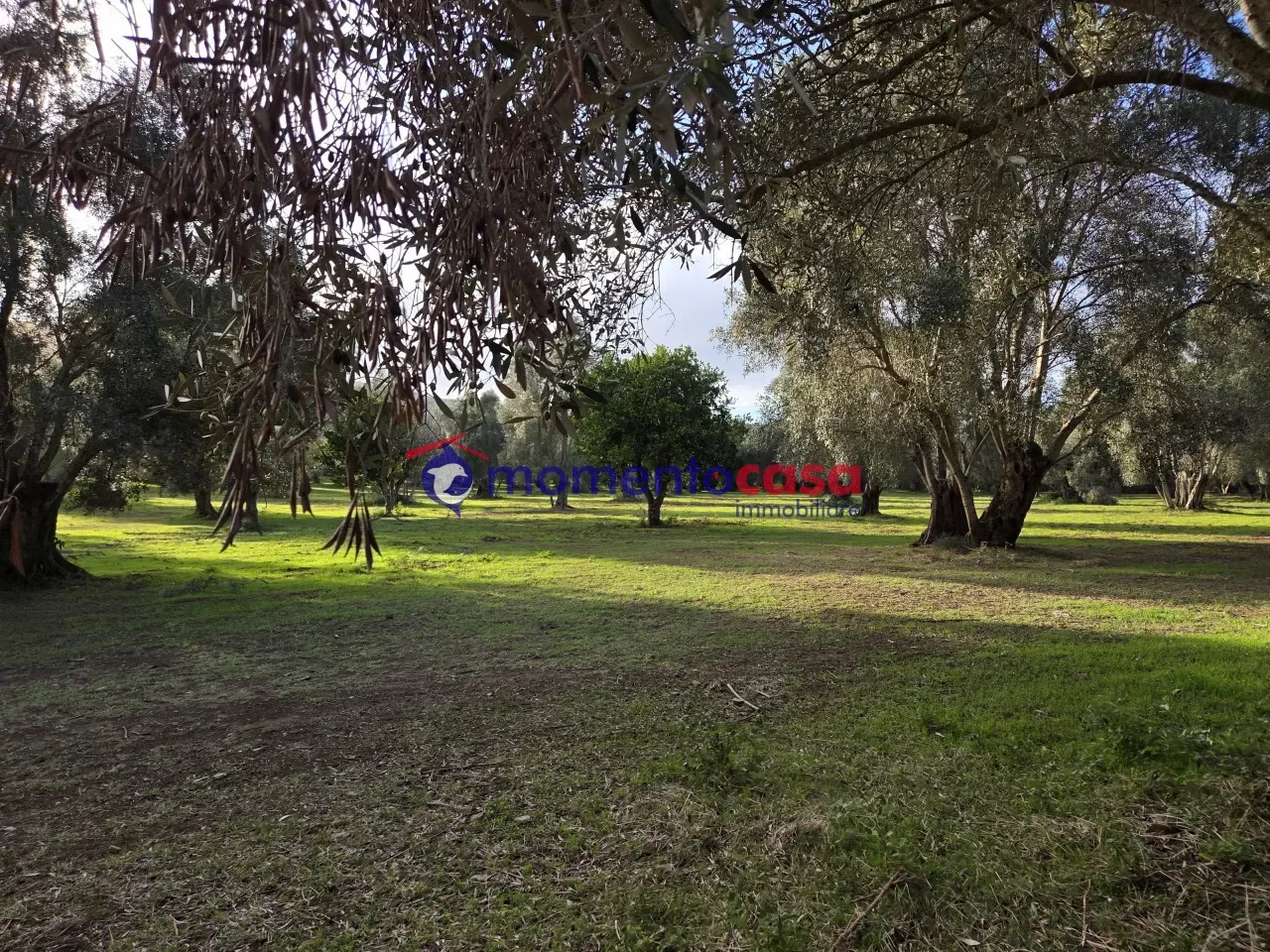 Gallery photo 5