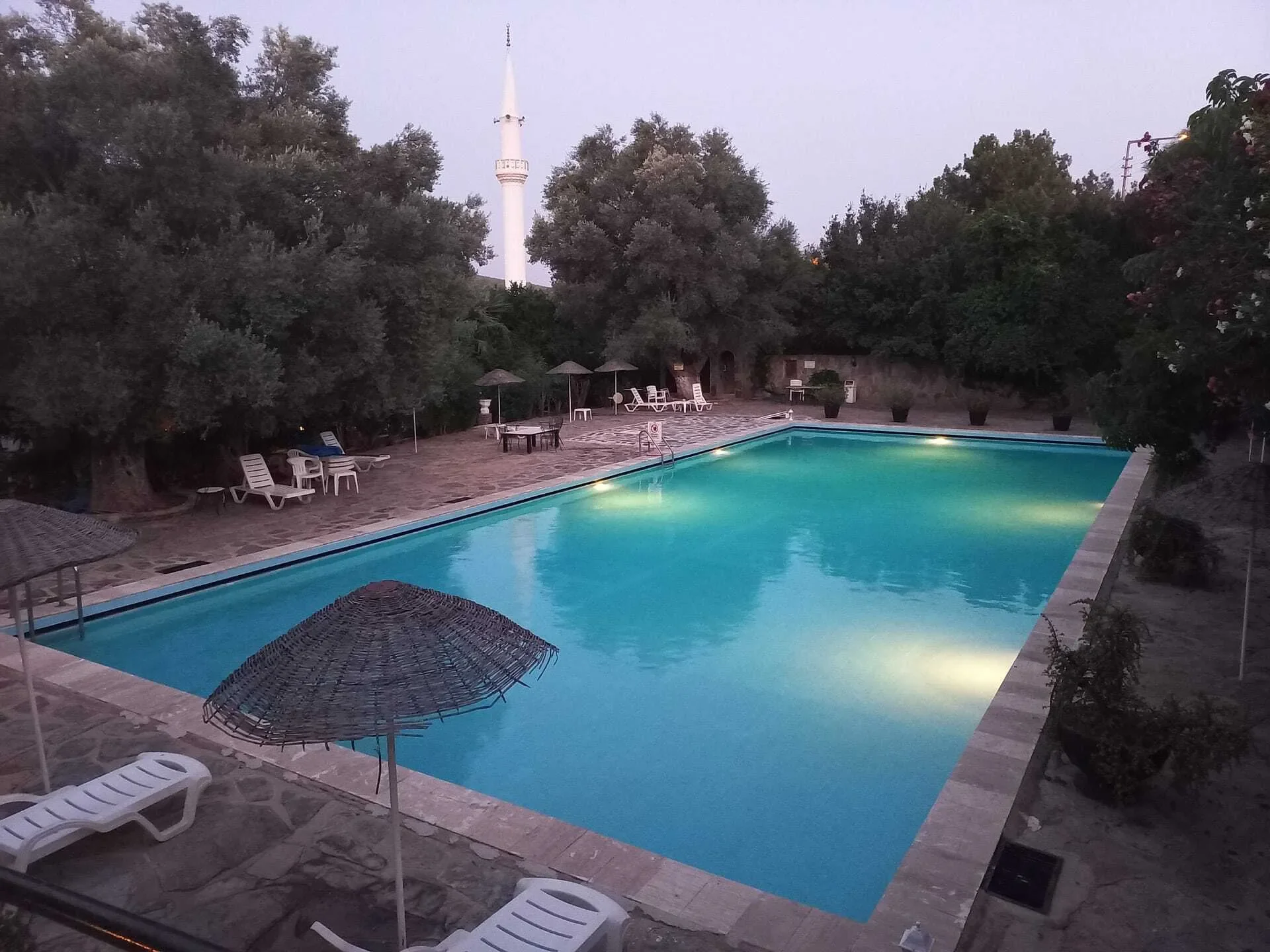 Torba, Bodrum, Torba, Muğla, Turkey. - Photo 43