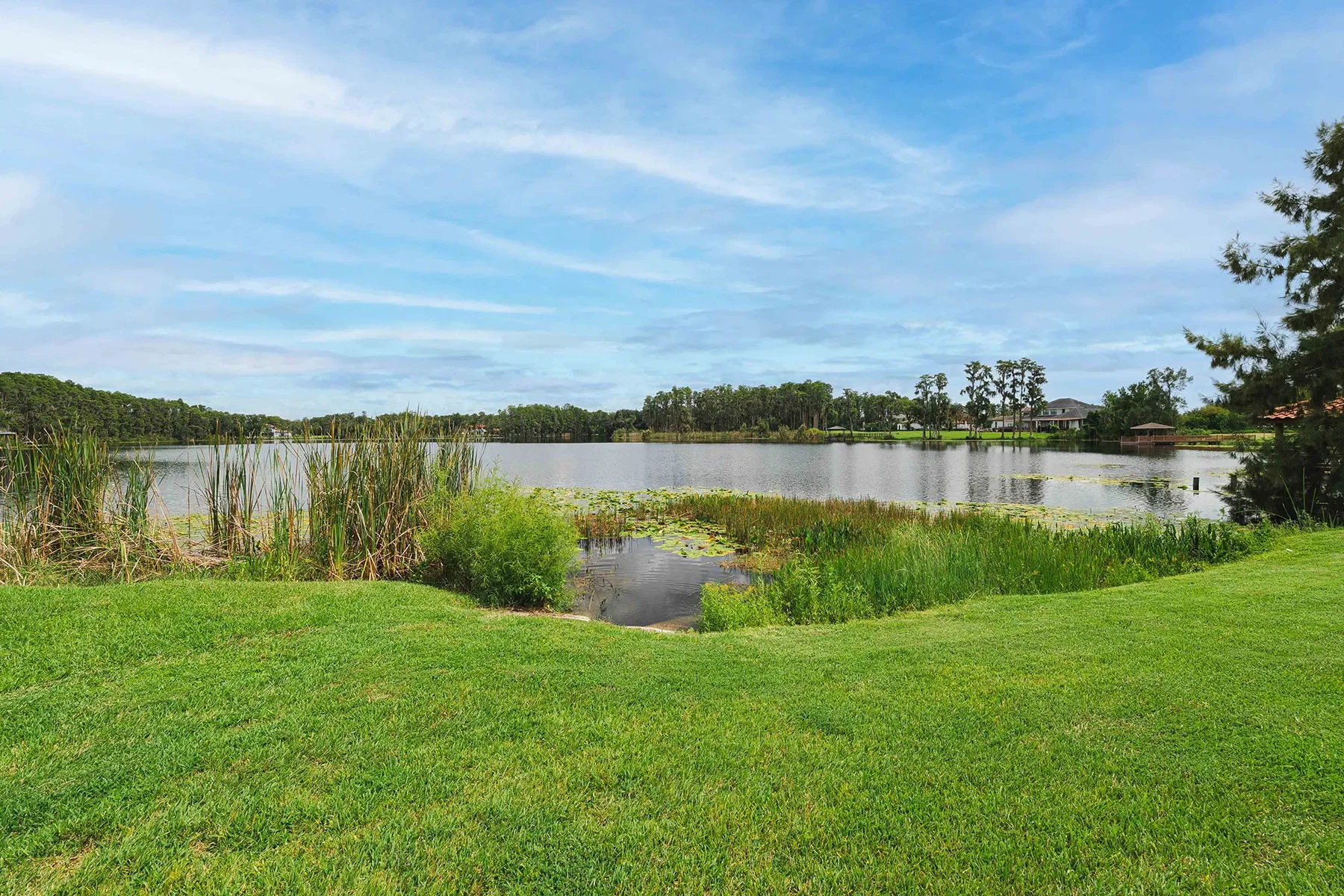 17201 Breeders Cup Drive, Odessa, FL 33556, Odessa, Florida, United States. - Photo 13