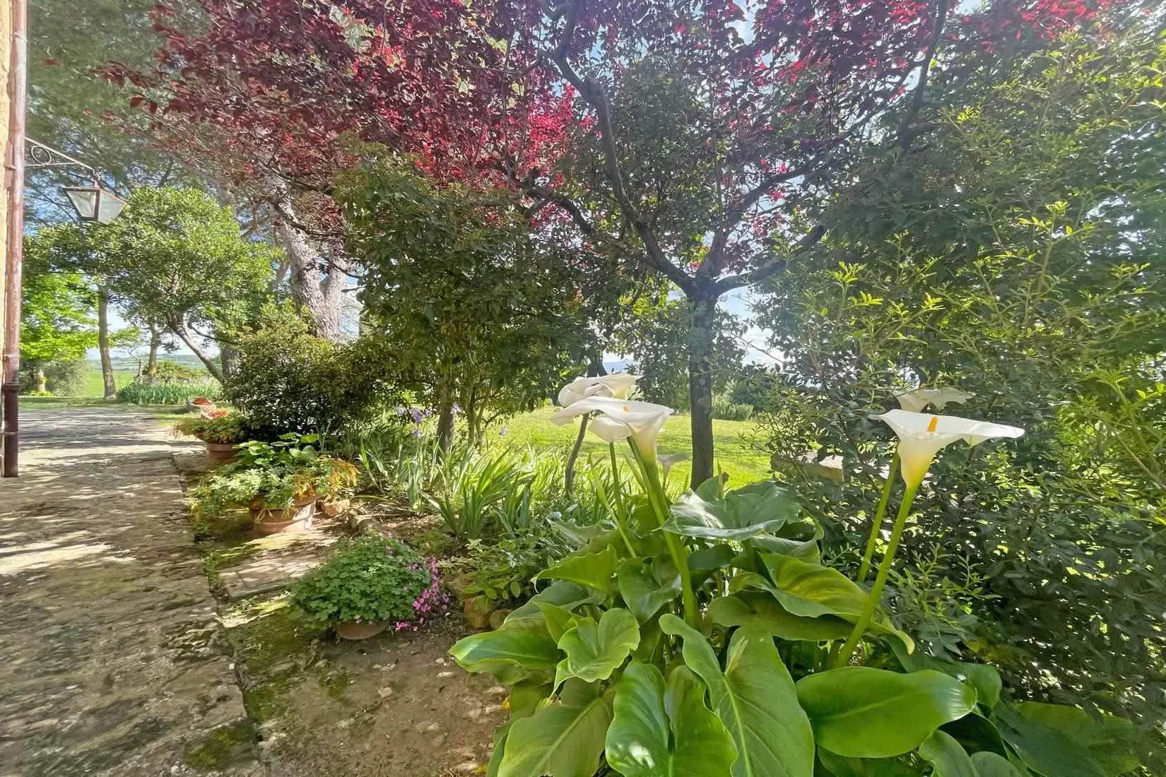 Gallery photo 11