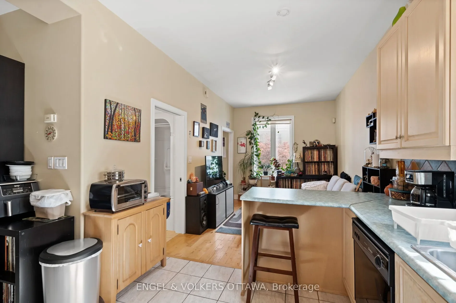 Gallery photo 6