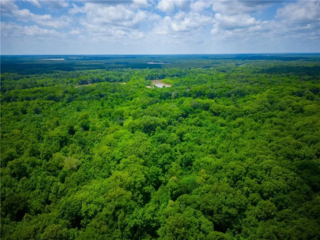 0 East River Road, Other, GA 31544, Jacksonville, Georgia, United States. - Photo 27