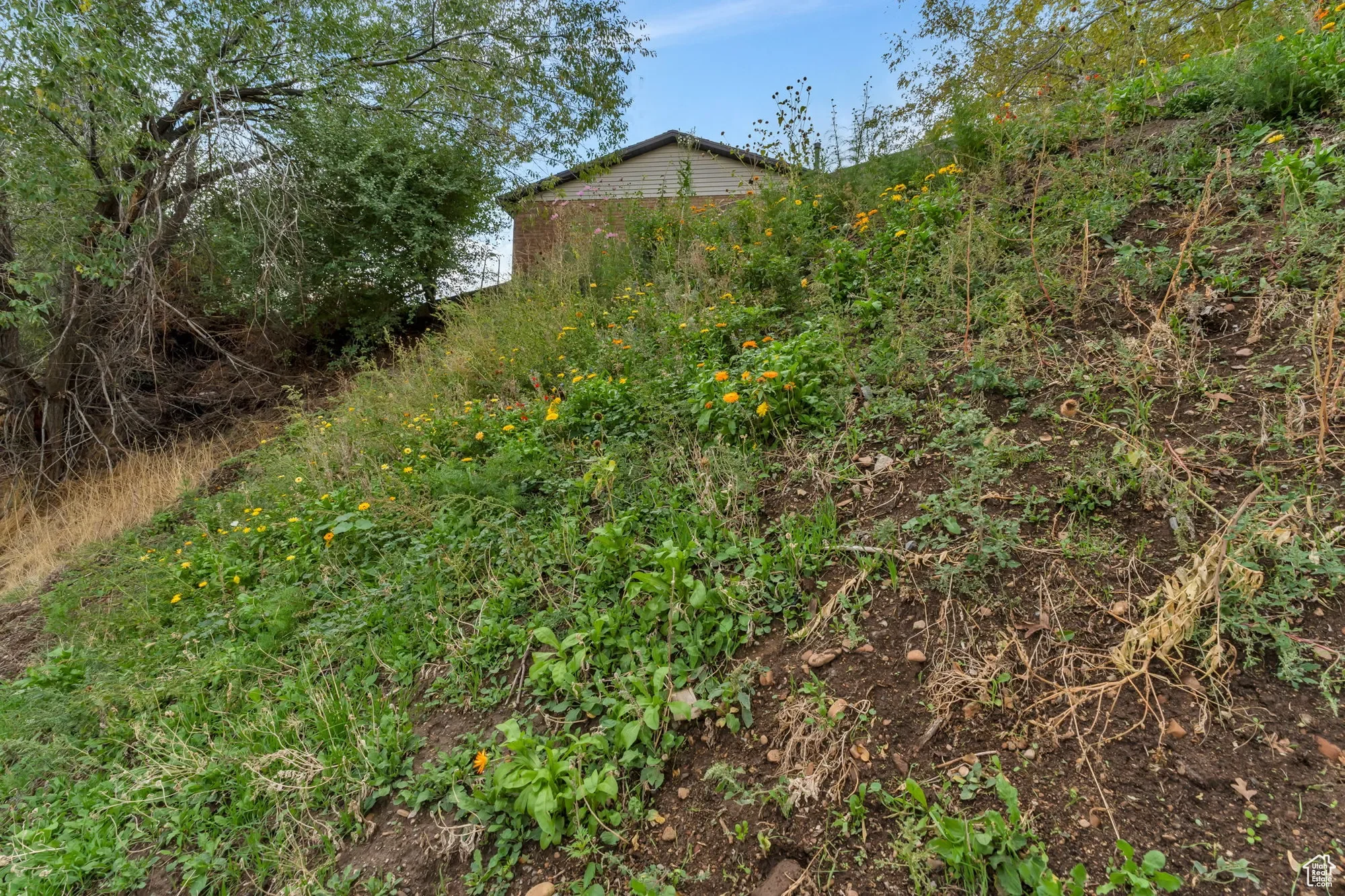 Gallery photo 11