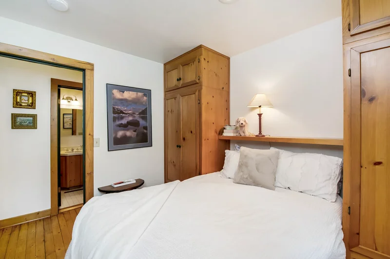 223 Sopris Avenue , Crested Butte, CO 81224, Crested Butte, Colorado, United States. - Photo 3