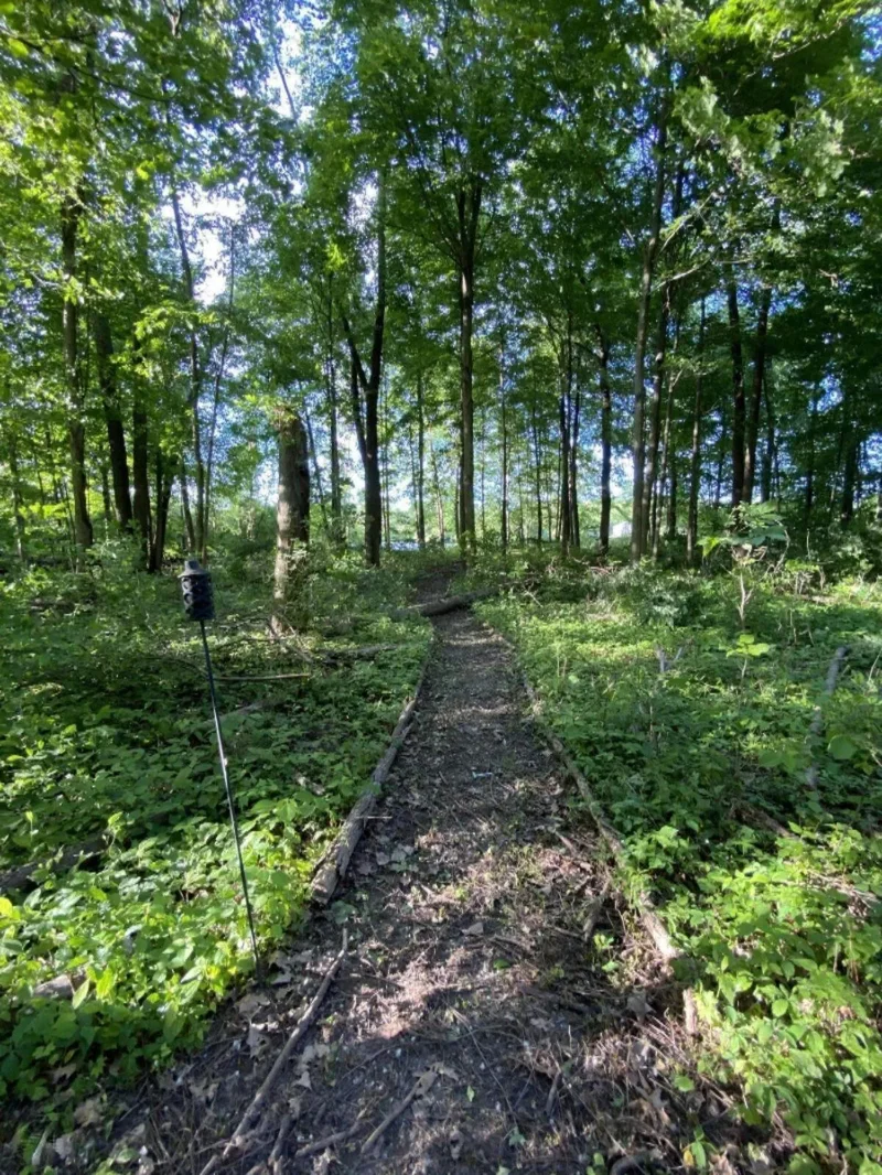 285 River Run Drive, St. Joseph, Michigan, United States. - Photo 35