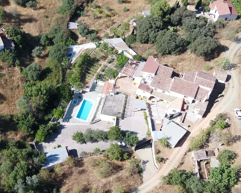 Andalusia, Casabermeja, Andalusia, Spain. - Photo 14