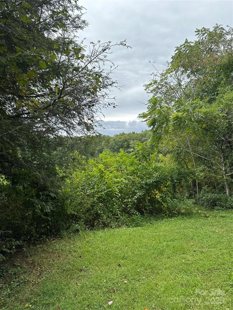 112 and 154 Merri Drive, Hendersonville, NC 28792, Hendersonville, North Carolina, United States. - Photo 20