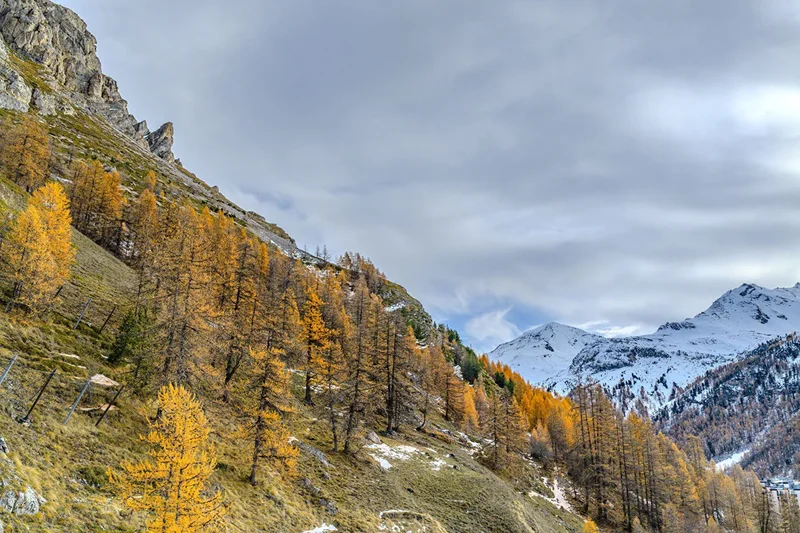 Chamonix, Auvergne-Rhône-Alpes, France. - Photo 12