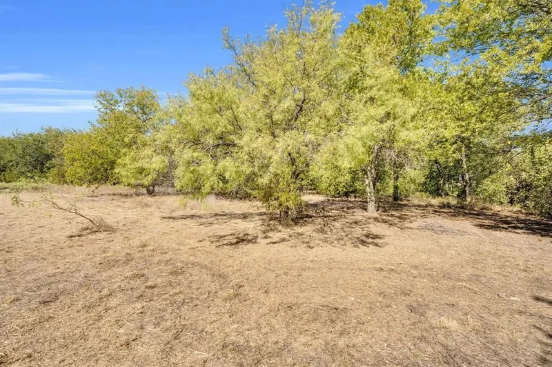 485 S Magnolia Street, Crowley, TX 76036, Crowley, Texas, United States. - Photo 4