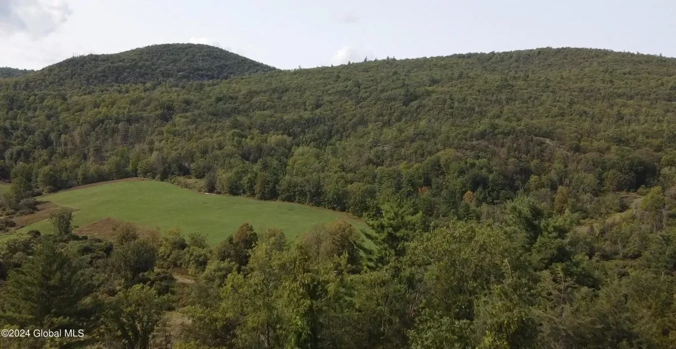 729 State Route 9N, Ticonderoga, New York, United States. - Photo 16