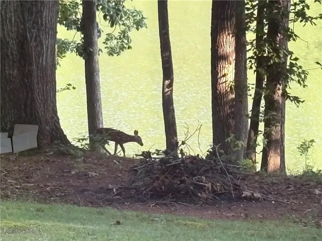 452 Brookwood Drive W, Cumming, Georgia, United States. - Photo 11