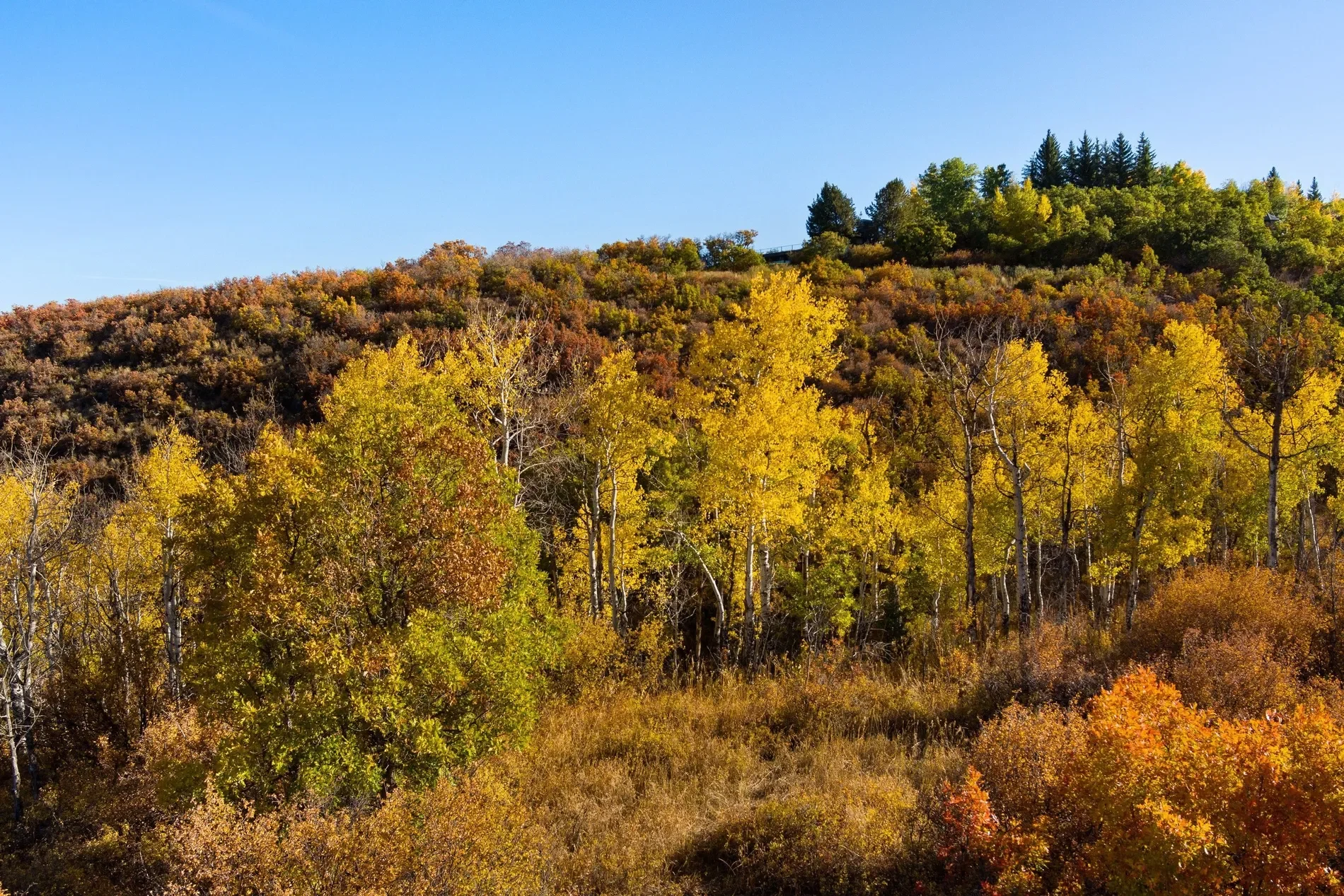 TBD Trentaz Drive , Aspen, CO 81611, Aspen, Colorado, United States. - Photo 31