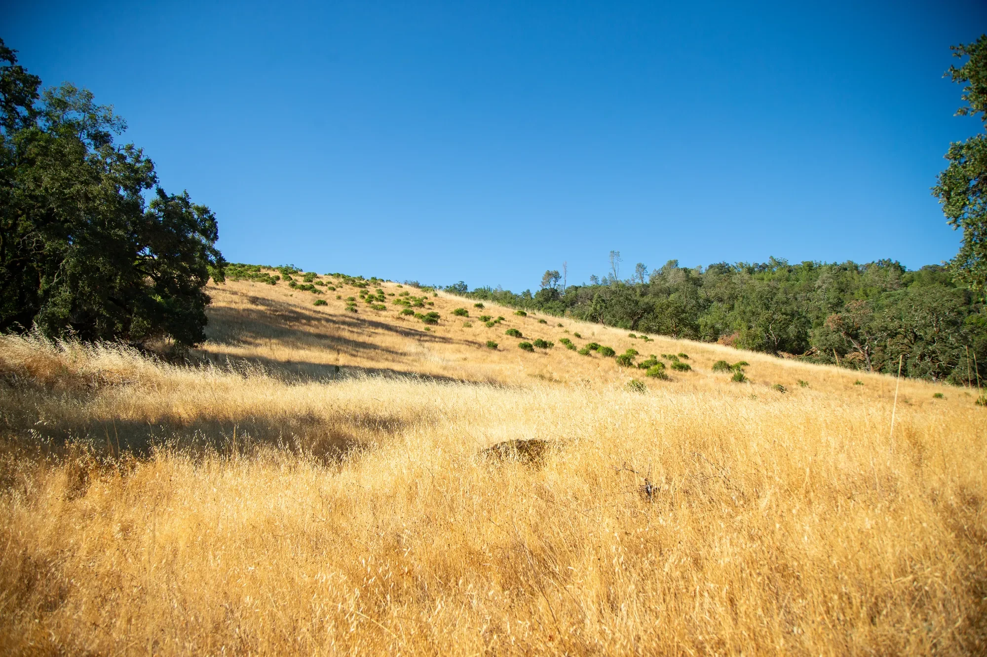 29810 River Road , Cloverdale, CA 95425, Cloverdale, California, United States. - Photo 12