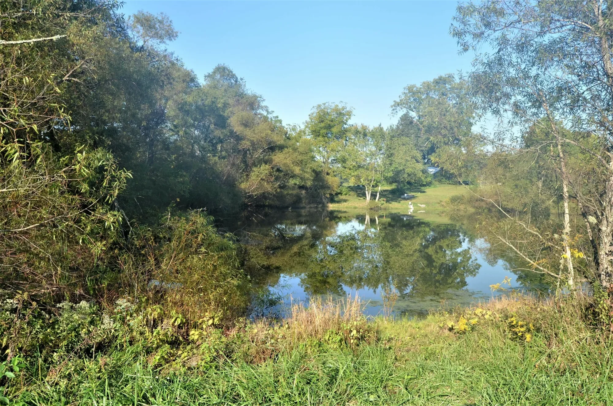 Gallery photo 10